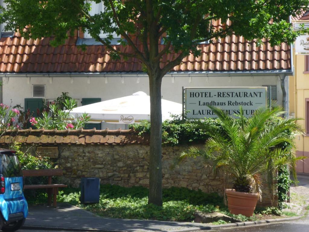 Landhaus Rebstock וורמס מראה חיצוני תמונה